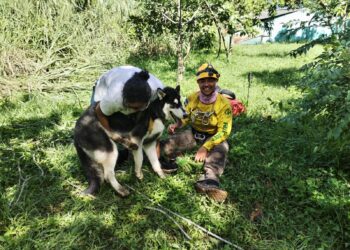 Rescatan sano y salvo a perrito que cayó en un barranco de Apopa