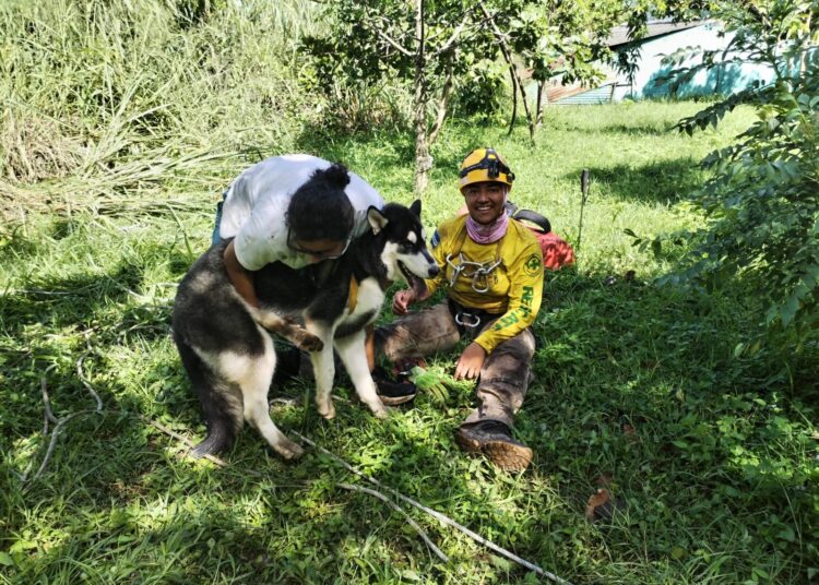 Rescatan sano y salvo a perrito que cayó en un barranco de Apopa