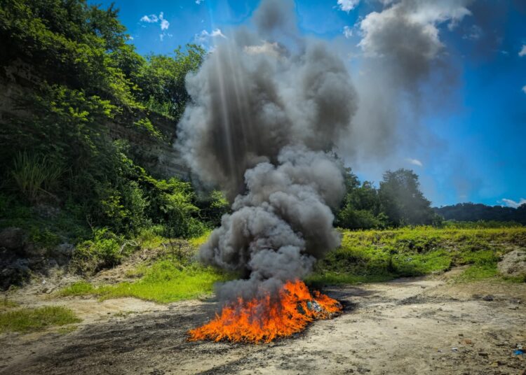 FGR y Policía destruyen droga decomisada en procesos judiciales finalizados y en curso