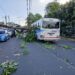 Árbol cae sobre unidad de la ruta 4T en Colonia Flor Blanca y deja dos personas lesionadas