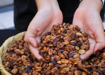 Ingresos por ventas de café salvadoreño al exterior registran fuerte alza en el último ciclo