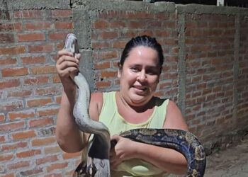 Mujer atrapa con sus manos una serpiente que se escondía en su vivienda, en Santa Ana