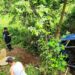 Camión con pasajeros se precipita a un barranco, en Metapán