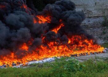 Autoridades destruyen más de $158 millones en droga