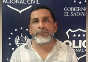 Detienen a hombre en San Miguel tras hallazgo de 11 gatos muertos dentro de una refrigeradora