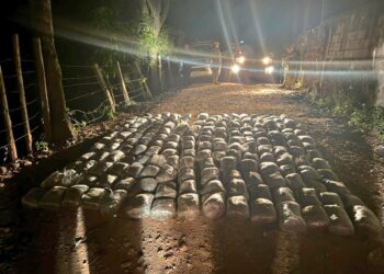 Soldados detectan droga abandonada durante patrullaje fronterizo en Santa Ana Norte