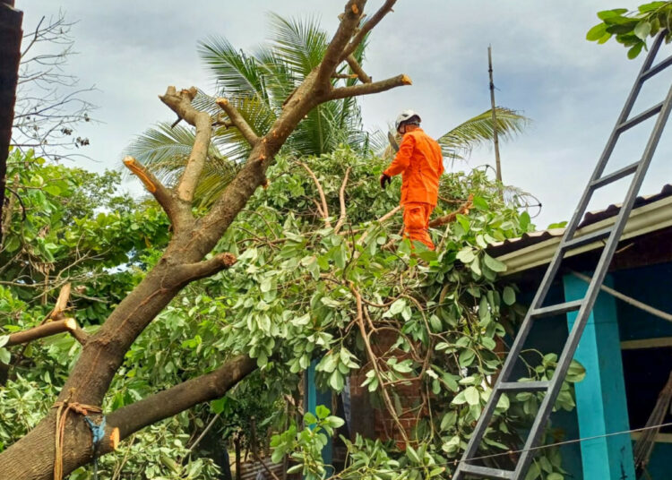Bomberos remueven árbol caído sobre vivienda en Santiago Nonualco