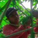 Sembrar para vivir: agricultura salvadoreña se reinventa ante los desafíos del mercado