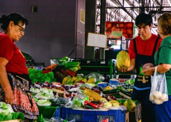 Agromercados brindan a los pequeños productores la oportunidad de crecer