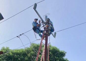 Caída de árbol por lluvias afecta sistema de agua y deja intermitencias en varias zonas del país