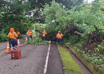 Fovial mantiene habilitada la red vial tras atender más de 200 emergencias por lluvias