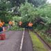 Fovial mantiene habilitada la red vial tras atender más de 200 emergencias por lluvias