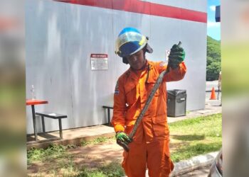Retiran serpiente que se refugiaba en el motor de un vehiculo en La Unión