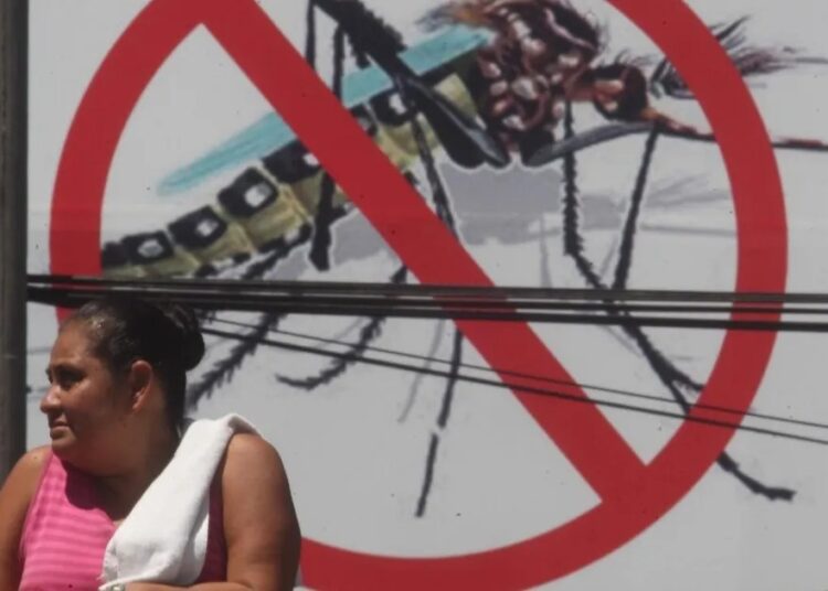 Ministerio de Salud llama a la población para protegerse del zancudo trasmisor del dengue y las larvas de mosca