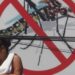 Ministerio de Salud llama a la población para protegerse del zancudo trasmisor del dengue y las larvas de mosca