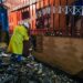 Gobierno activa medidas de protección y apoyo económico para familias afectadas por lluvias en Tutunichapa 1