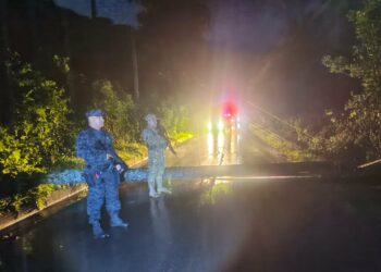 Caída de árbol bloquea calle en San Vicente y afecta tendido eléctrico