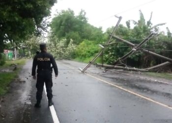 Policía reporta emergencias por árboles caídos en diferentes departamentos del país