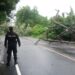 Policía reporta emergencias por árboles caídos en diferentes departamentos del país
