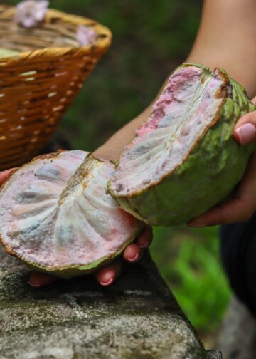 Festival de la Anona celebrará la cosecha con productos locales y precios accesibles