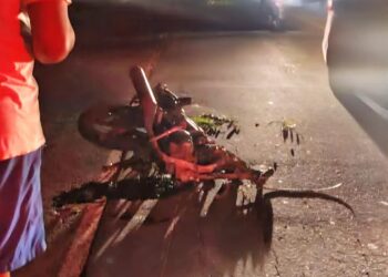 Tragedia vial en la Troncal del Norte deja una persona fallecida