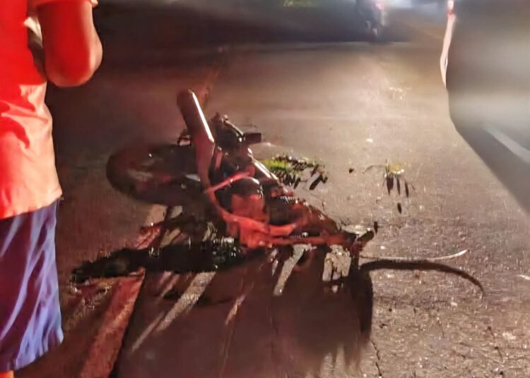 Tragedia vial en la Troncal del Norte deja una persona fallecida