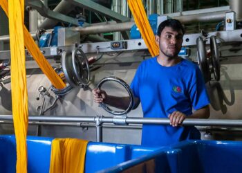 Difunden falsa información sobre cierre de fábrica Fruit the Loom; dejó de operar en Honduras no en El Salvador