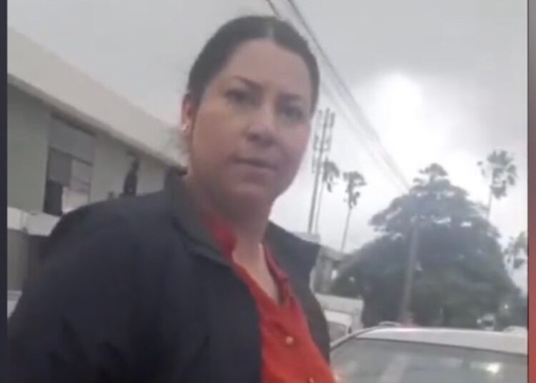 Ministro Alabí destituye a directora médica del SEM tras incidente vial