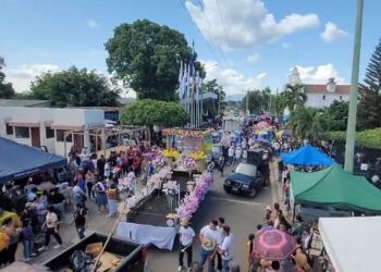 Enjambre de abejas causa pánico y deja decenas de afectados en desfile de Chalchuapa