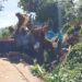 DOM atiende con rapidez y libera vía hacia San Agustín tras caída de árbol de gran tamaño