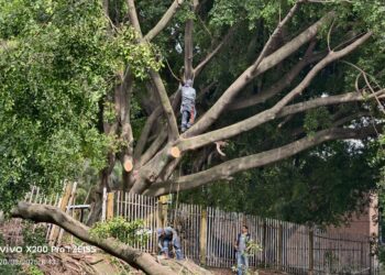 Alcaldía de San Salvador Centro intensifica limpieza y mantenimiento preventivo en ríos, quebradas y áreas verdes