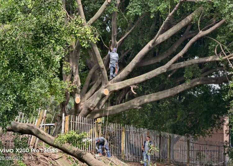 Alcaldía de San Salvador Centro intensifica limpieza y mantenimiento preventivo en ríos, quebradas y áreas verdes