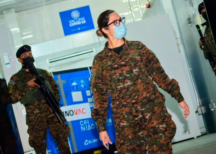 Analista político califica como «hipocresía y estupidez» críticas hacia nueva ministra de Educación