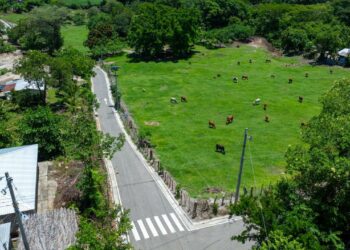 Más de 400 personas se benefician con moderna calle construida por la DOM en Panchimalco
