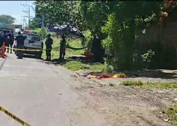 Niña Rosa, vendedora de semillas y frutas, pierde la vida tras ser atropellada en carretera Litoral