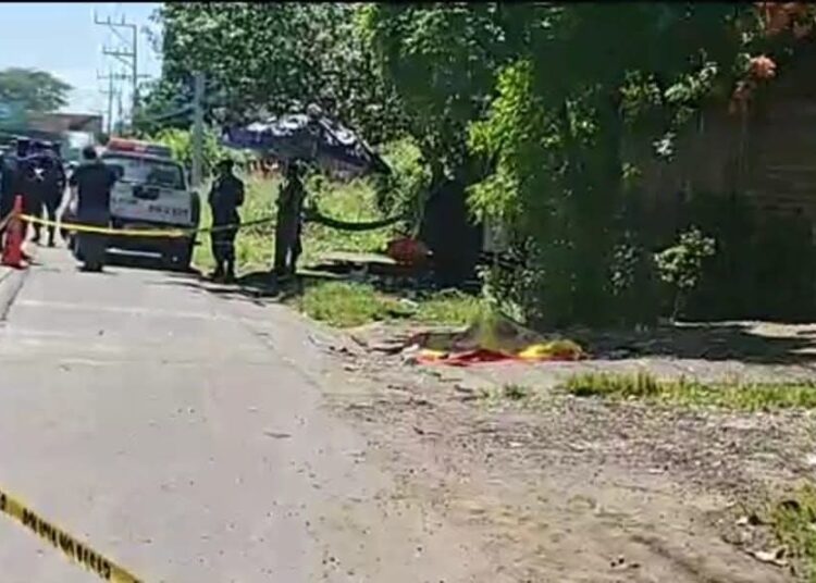Niña Rosa, vendedora de semillas y frutas, pierde la vida tras ser atropellada en carretera Litoral
