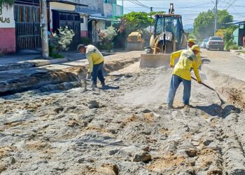 Obras Públicas trabaja para eliminar cárcava que amenaza a familias en Altavista, San Martín
