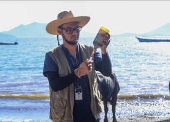 Isla Conchagüita se mantiene libre de gusano barrenador gracias a la prevención