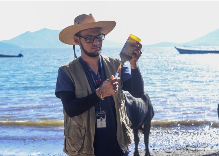 Isla Conchagüita se mantiene libre de gusano barrenador gracias a la prevención