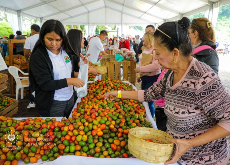 El Cerro Verde se llenará de sabor y tradición con la Feria del Jocote Corona