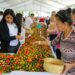 El Cerro Verde se llenará de sabor y tradición con la Feria del Jocote Corona
