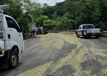 Accidente de camión en la Longitudinal del Norte deja cinco heridos