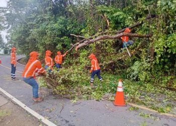 Fovial ha atendido más de 550 emergencias viales en lo que va del invierno