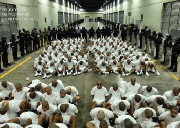 Carlos Araujo cuestiona explicación de Bukele sobre origen de la violencia en El Salvador