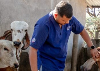 El Salvador mantiene bajo control los casos de Gusano Barrenador del Ganado