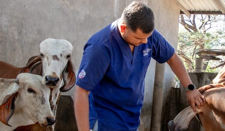 El Salvador mantiene bajo control los casos de Gusano Barrenador del Ganado