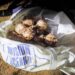 Guardaparques del MARN protegen tortugas marinas y trasladan sus huevos a viveros seguros