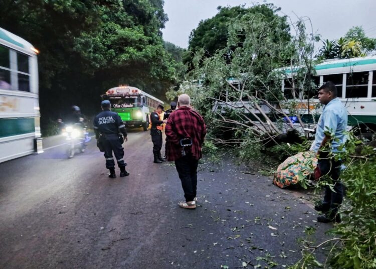 Bus pierde el control y choca contra un árbol en carretera a San Salvador