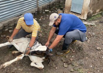 Monitoreo inteligente y acciones veterinarias fortalecen la protección del sector agropecuario