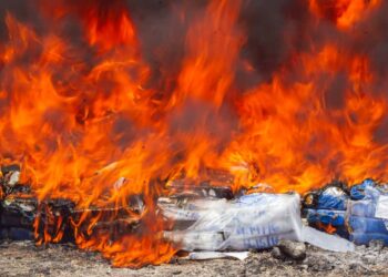 Autoridades destruyen 360 kilos de cocaína incautados frente a Sonsonate